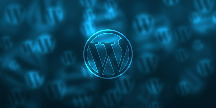 WordPress Webdesign – unsere Dienstleistungen  